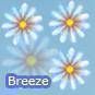 breeze