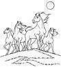 Horses -1