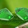 Hidden Emeralds: Butterflies
