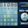 Super Bingo free Casino Game