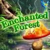 Enchanted Forest