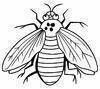Insects -1