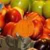 Hidden Pumpkins Market - RPG Adventure Game