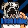 British Bulldog