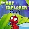The Ant Explorer