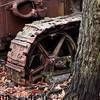 Very old tractor in forest