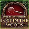 Lost in the Woods (Spot the Differences Game) free RPG Adventure Game