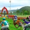 3D Horse Racing - Jigsaw Puzzle Game