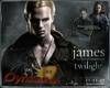 Twilight-James Jigsaw