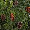 Jigsaw: Cones And Needles