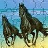 Black Horses Jigsaw Puzzle