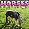 Differences: Horses - RPG Adventure Game