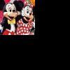Disney World Jigsaw Puzzle
