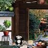 Mystery Expedition Shrine free RPG Adventure Game