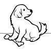 Dogs -1