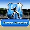 Turbo Cricket free Sports Game