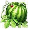 Crop Busters free Time Management Game