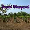 Secret Vineyard free RPG Adventure Game