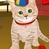 Kitty Cat Dress Up