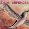 Birds Defender - Shooting Game - Ballerspiel