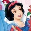 Disney Beuty Princess