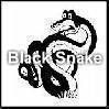 Black Snake