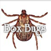 Box Bugs