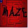 Can you make the maze