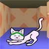 Catsa Shoota