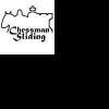 Chessman Sliding