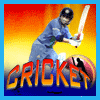 Cricket