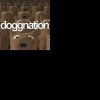 Doggnation