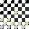 FG Checkers