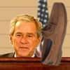 Hit Bush With Shoe