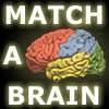 Match-A-Brain