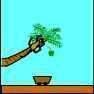 Monkey Business