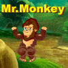 MrMonkey