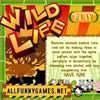 Wild Life Puzzle