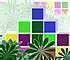 Free Online Game Jungle Crash